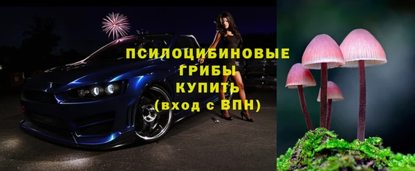 PSILOCYBIN Зеленодольск