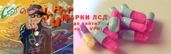 apvp Иннополис