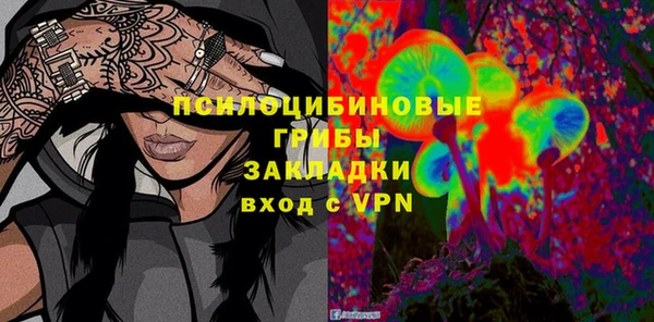 PSILOCYBIN Зеленодольск