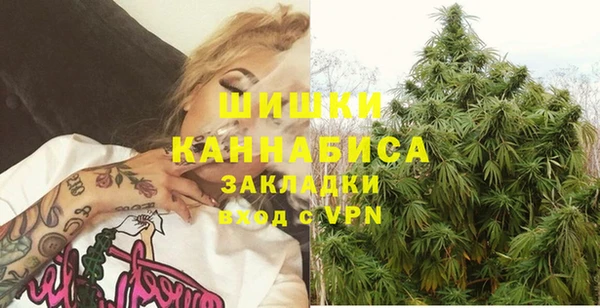 PSILOCYBIN Зеленодольск