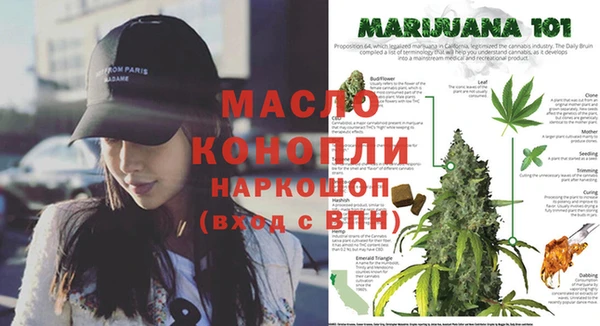 стаф Зерноград