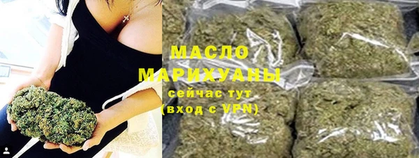 spice Инта