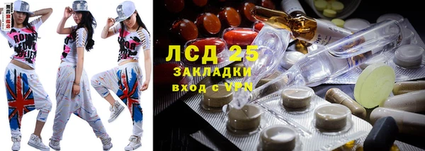 spice Инта