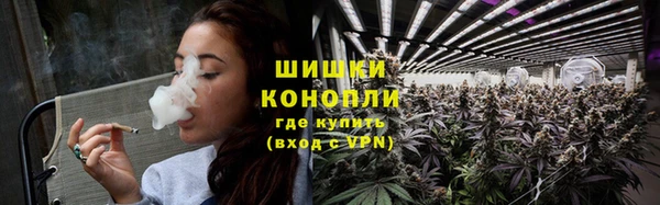 spice Инта