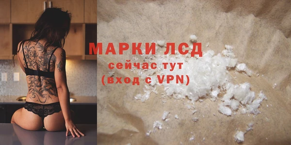 apvp Иннополис
