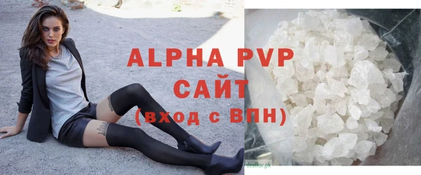 apvp Иннополис