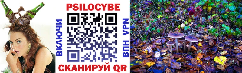 Псилоцибиновые грибы прущие грибы  купить наркотик  Ногинск 