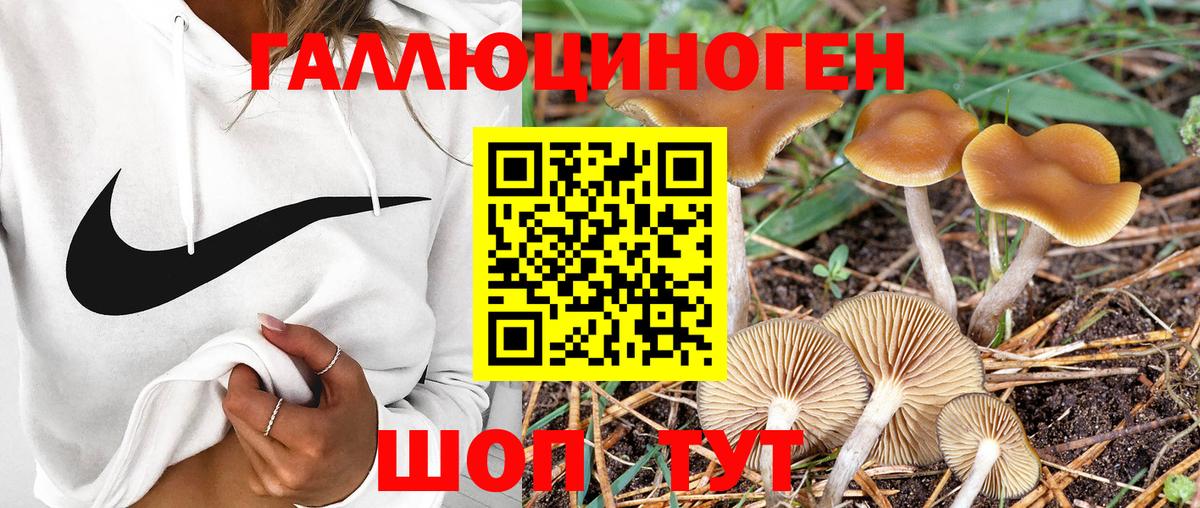 Ногинск  Галлюциногенные грибы мухоморы  сколько стоит  Вход с VPN 